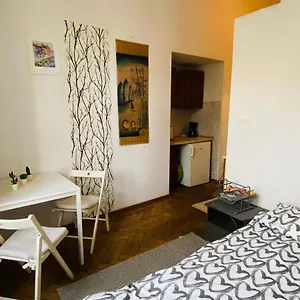 Historic Apartament